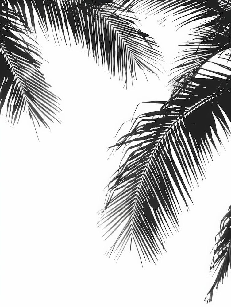 Palm Trees 78