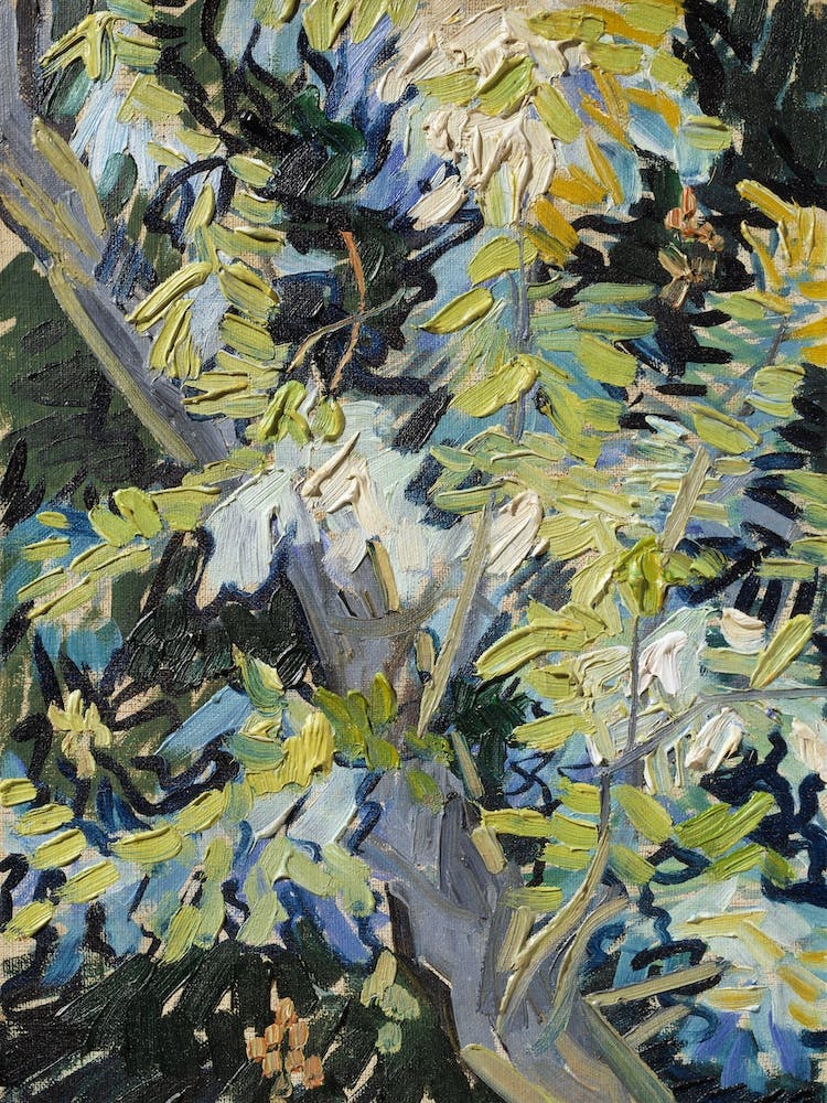 Blossoming Acacia Branches, Van Gogh
