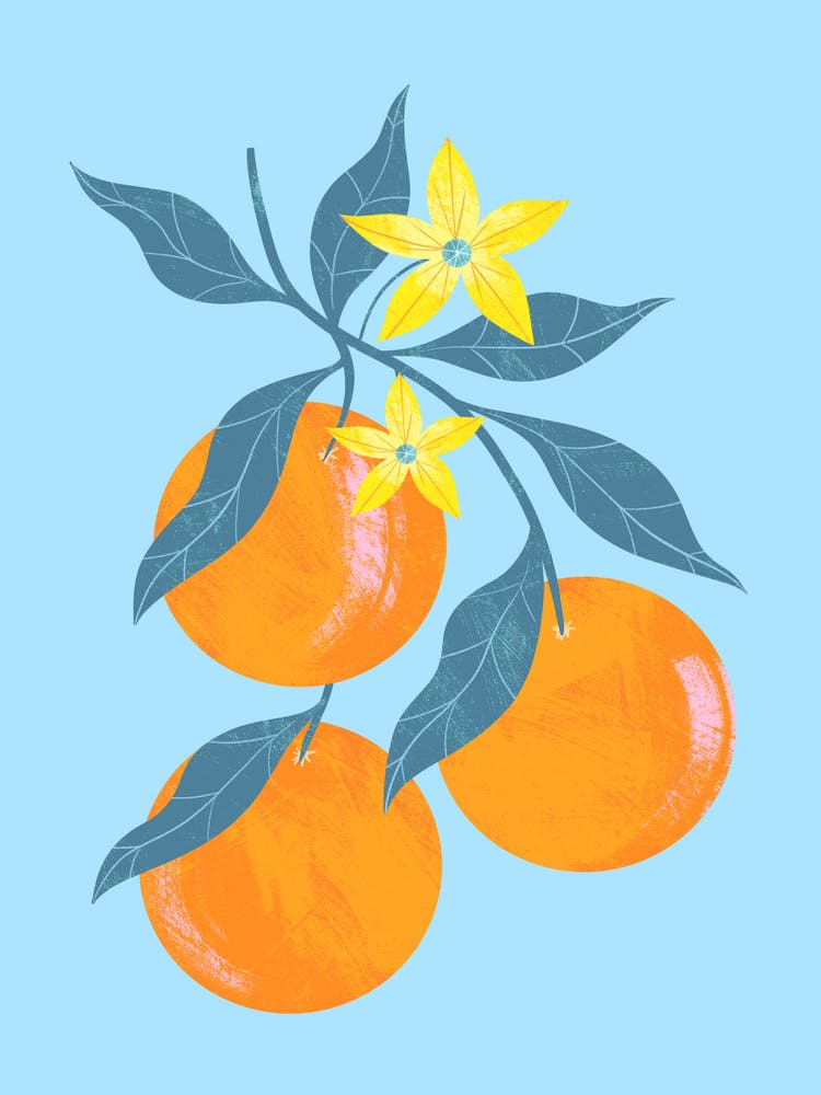 Oranges On A Branch