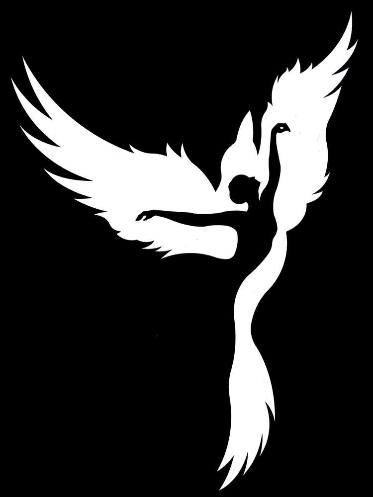 Fly high