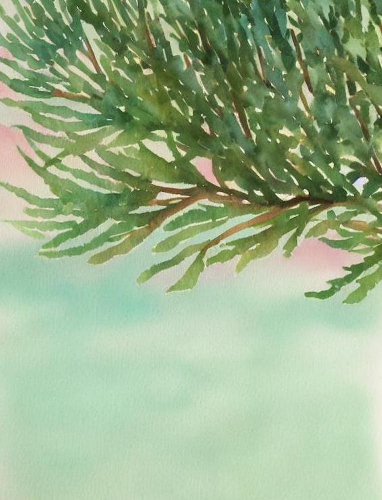 Acropora Aspera Storybook Watercolour