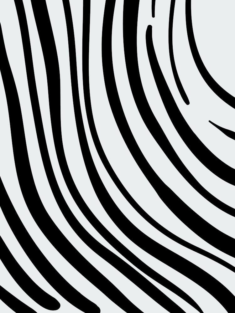 Zebrastreifen 16