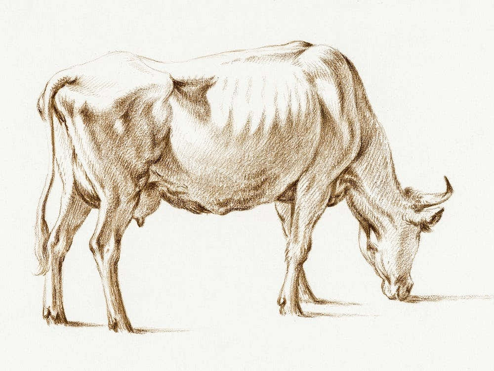Grazing Cow, Jean Bernard