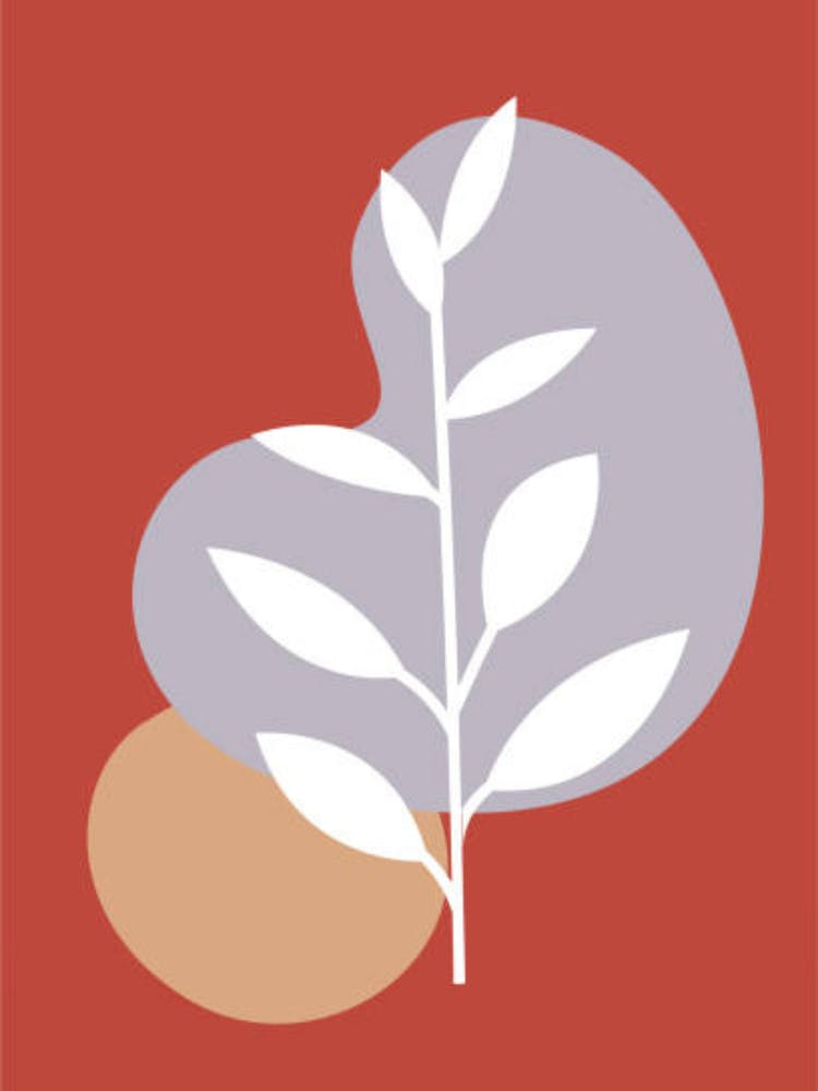 Leaf On A Red Background