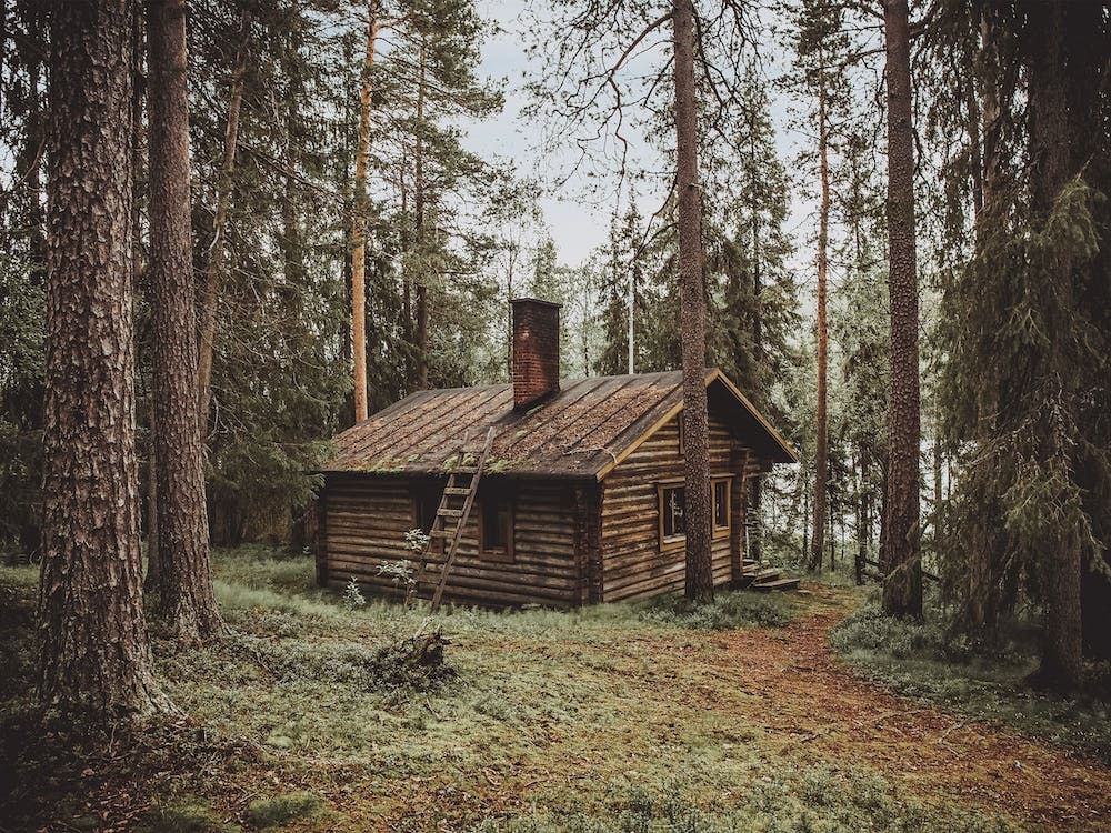 Remote Log Cabin
