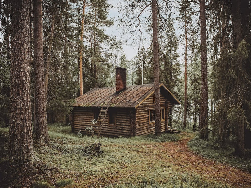 Remote Log Cabin