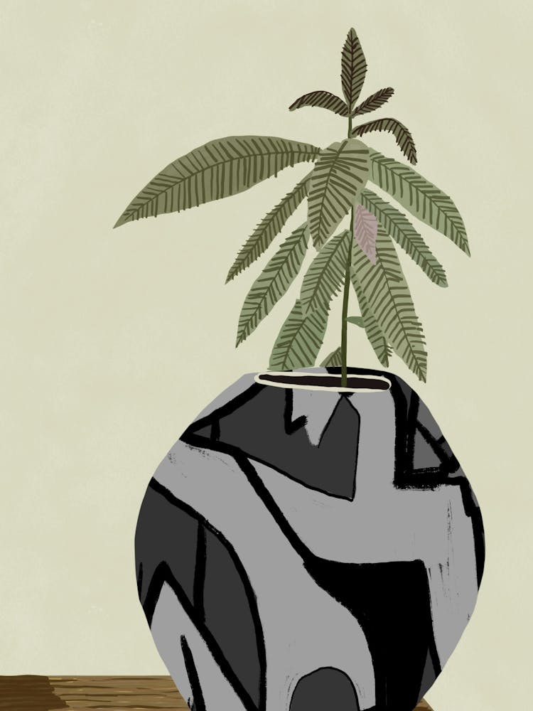 Potted Plant