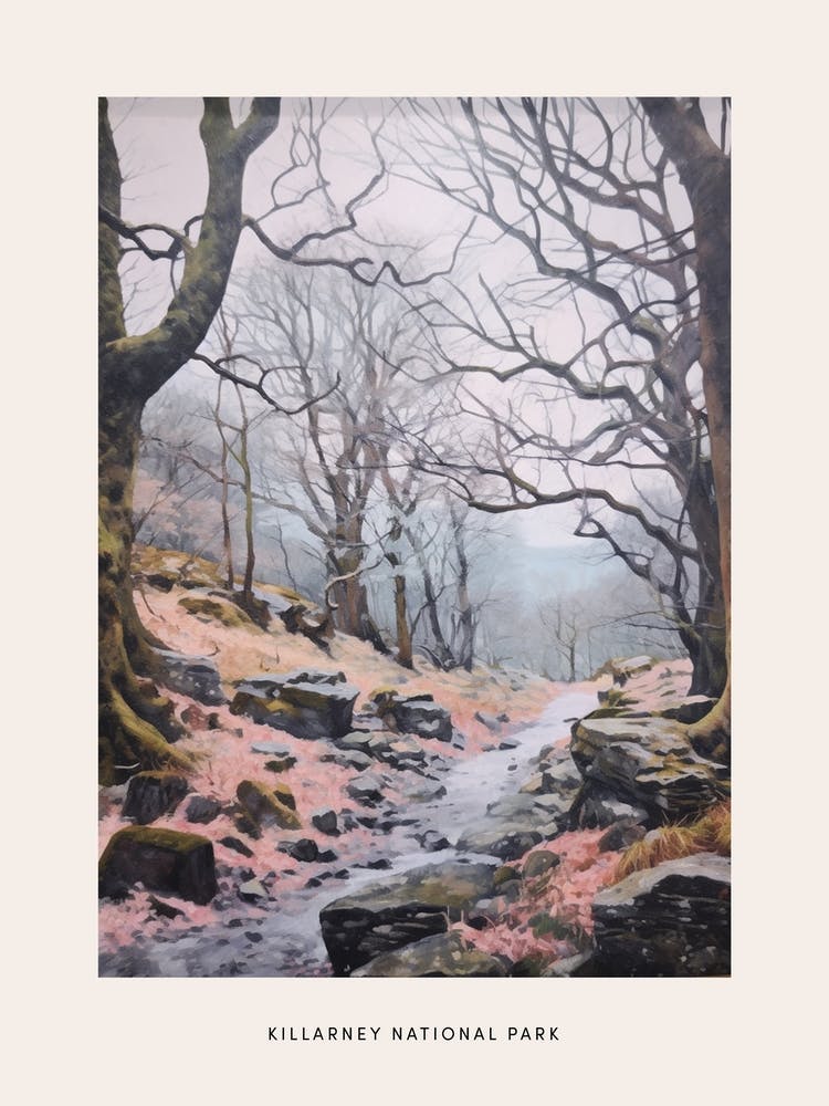 Dreamy Winter National Park Poster  Killarney National Park Ireland 6