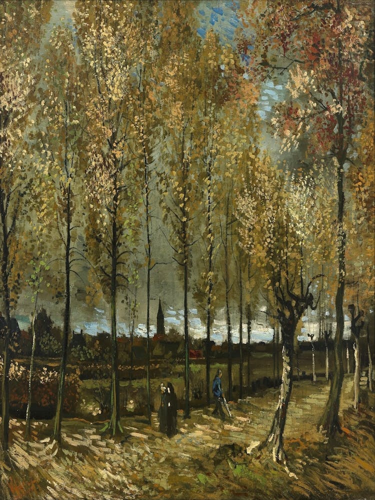 Walk In The Woods 4