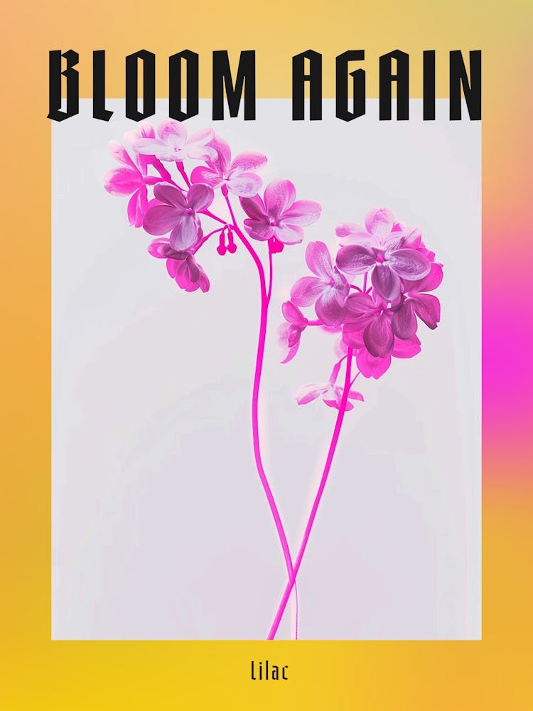 Hot Pink Lilac 3 Poster