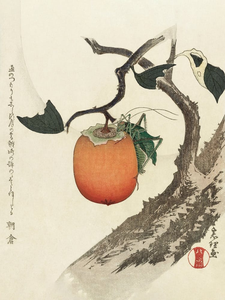 Khaki Fruit With Grasshopper, Katsushika Hokusai