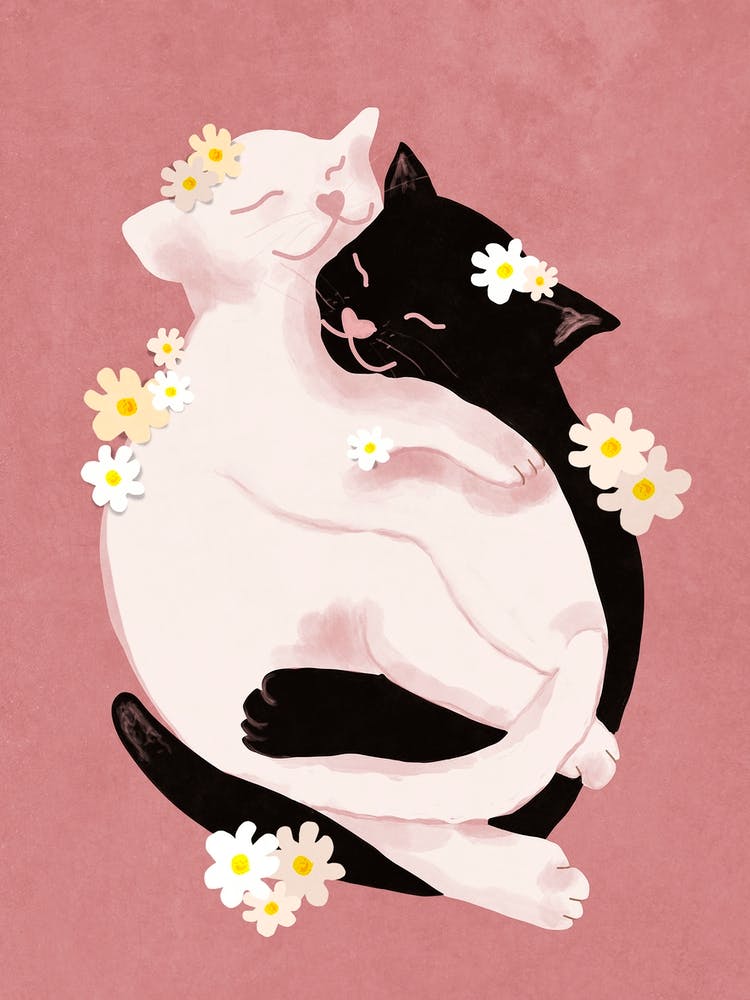Cuddling cats