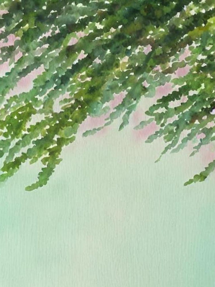 Acropora Selago Ii Storybook Watercolour