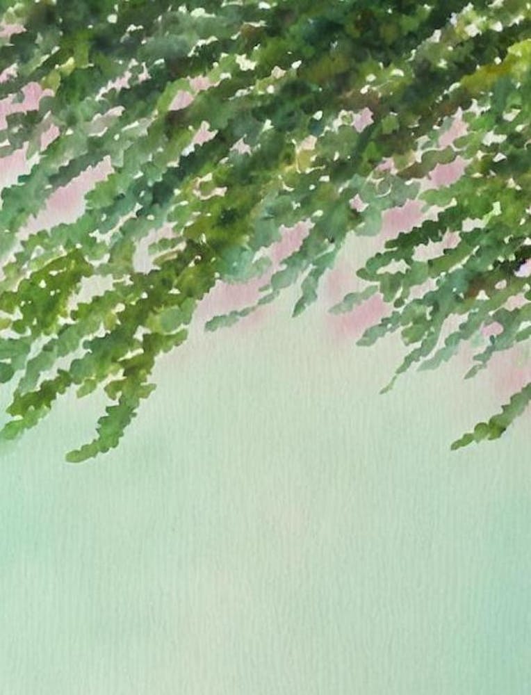 Acropora Selago Ii Storybook Watercolour