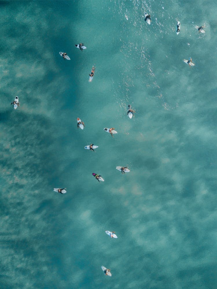 Surfers From Above