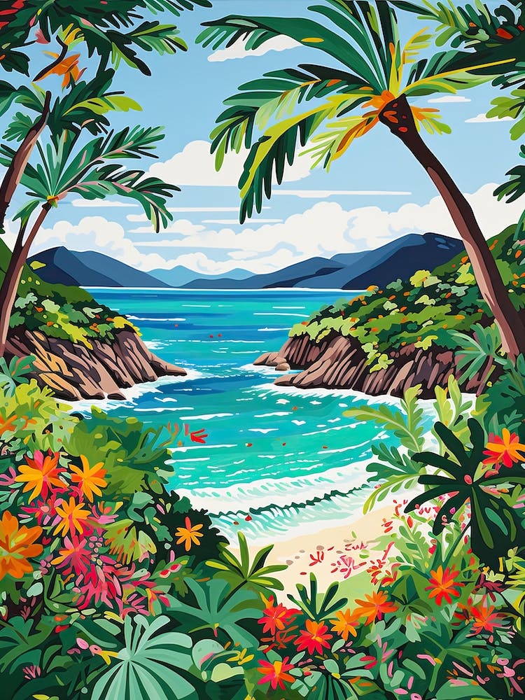 Trunk Bay Beach, Îles Vierges Américaines, Style Matisse et Rousseau 3