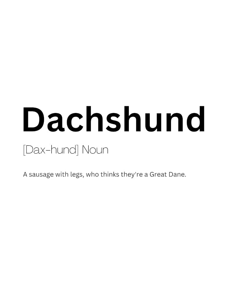 Dachshund Definition Meaning