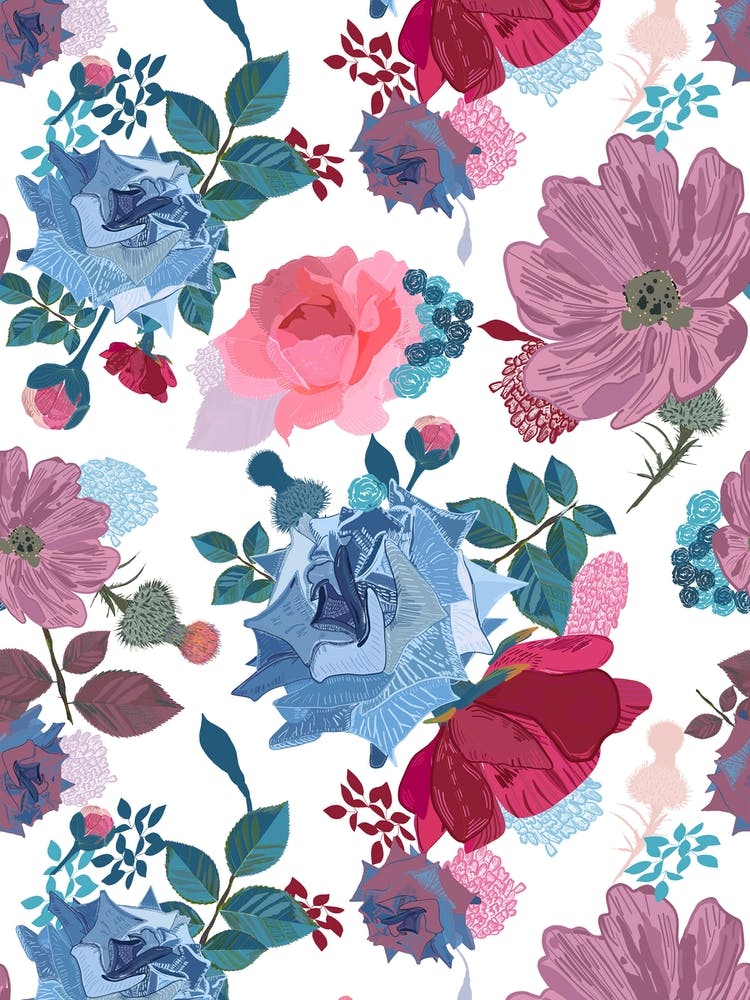 Blue And Pink Roses