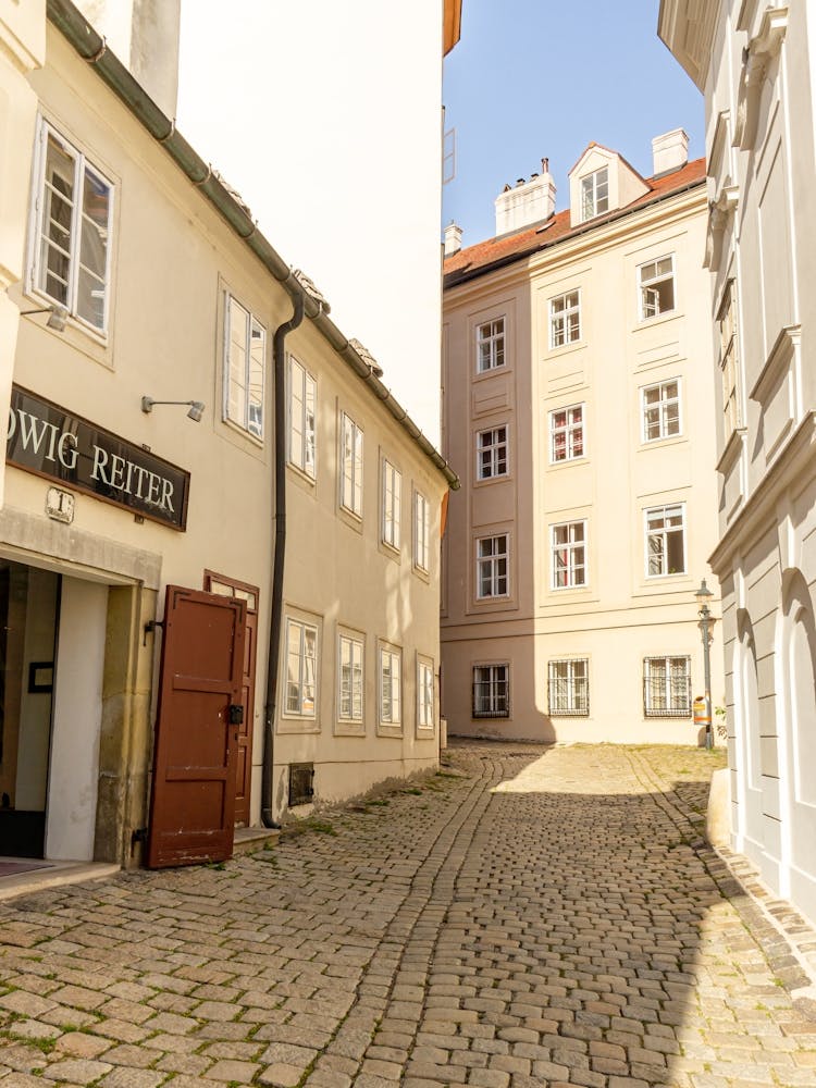 Cobblestone Street In Vienna
