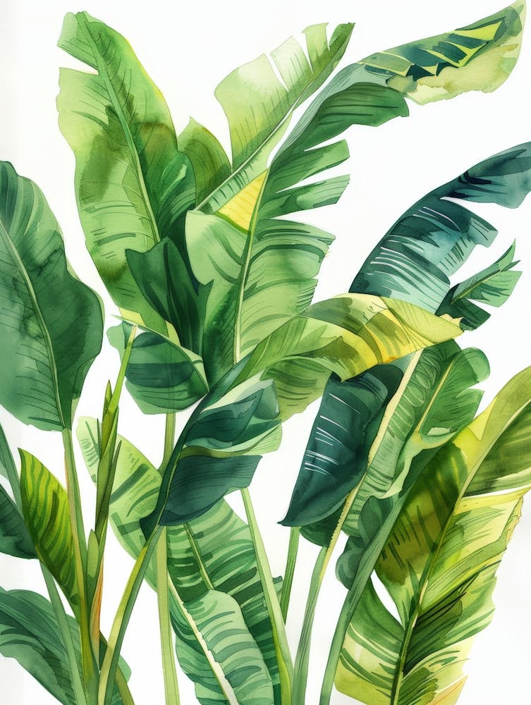Banana Leaves 35