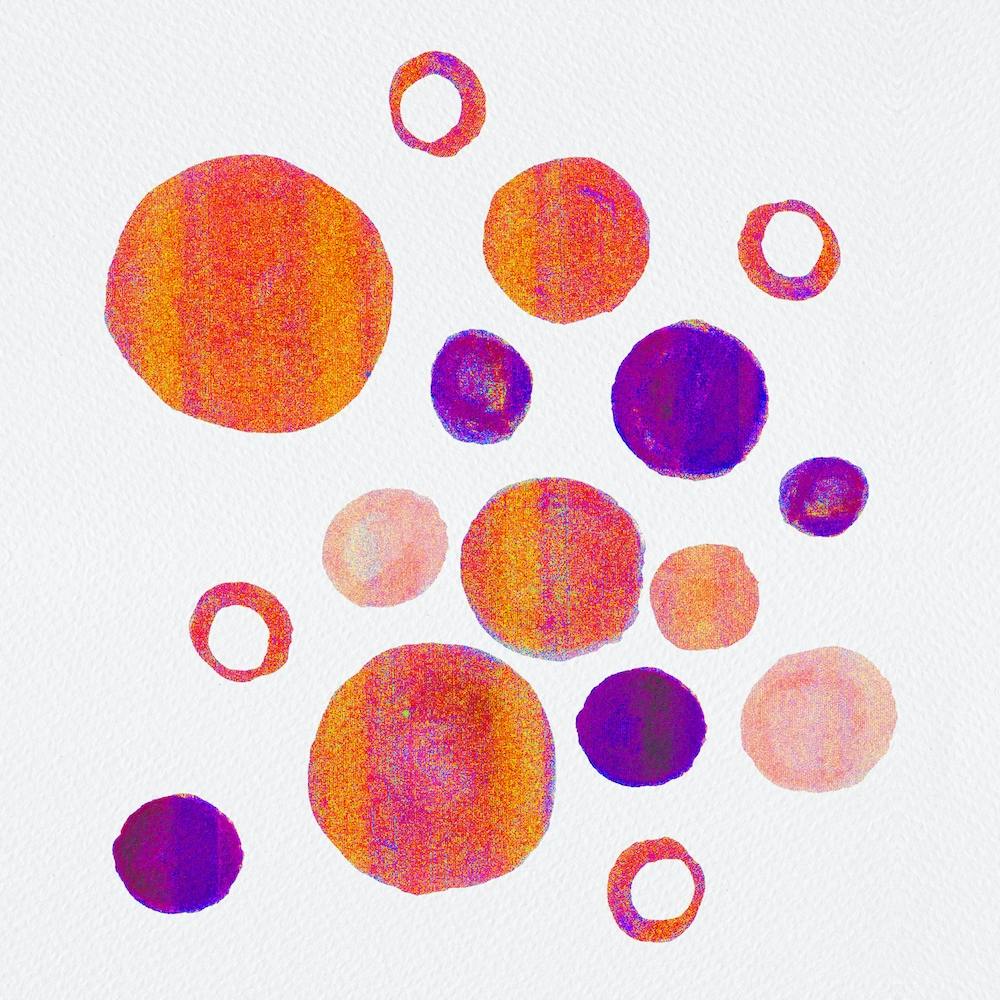 Orange Purple Floral Circles Large Small