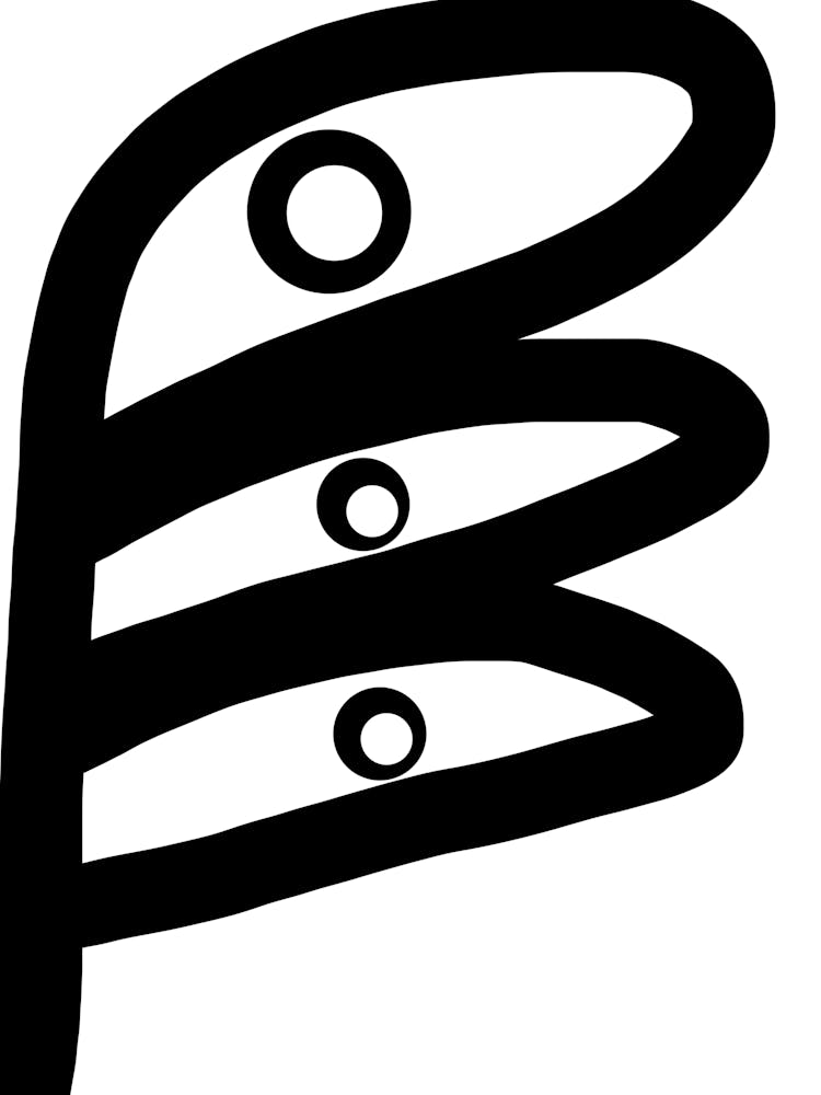 Black Seeing Plant