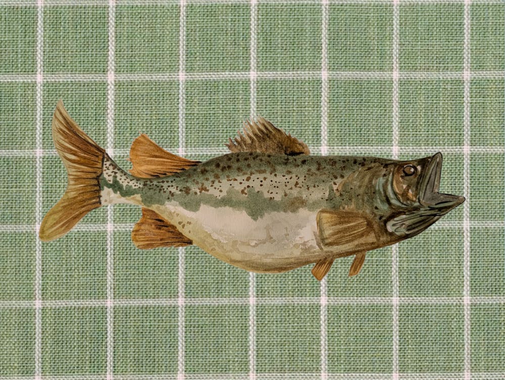 Grüner Fisch Aquarell-Illustration