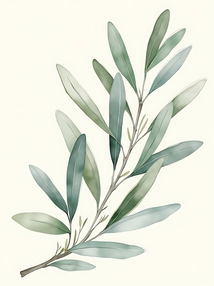 Sage Green Botanical Flow