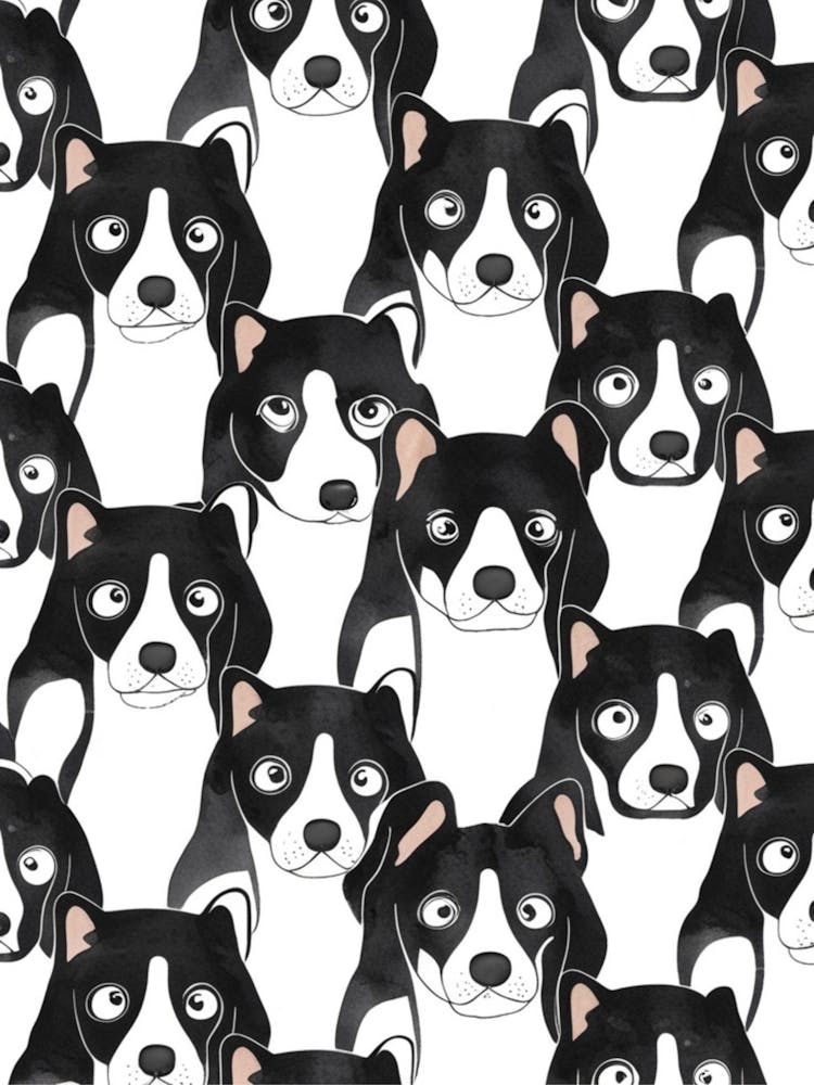 Chiens en noir et blanc 4