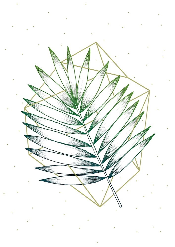 Geometry And Nature 4