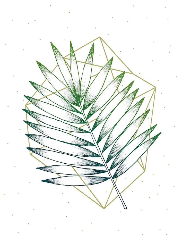 Geometry And Nature 4