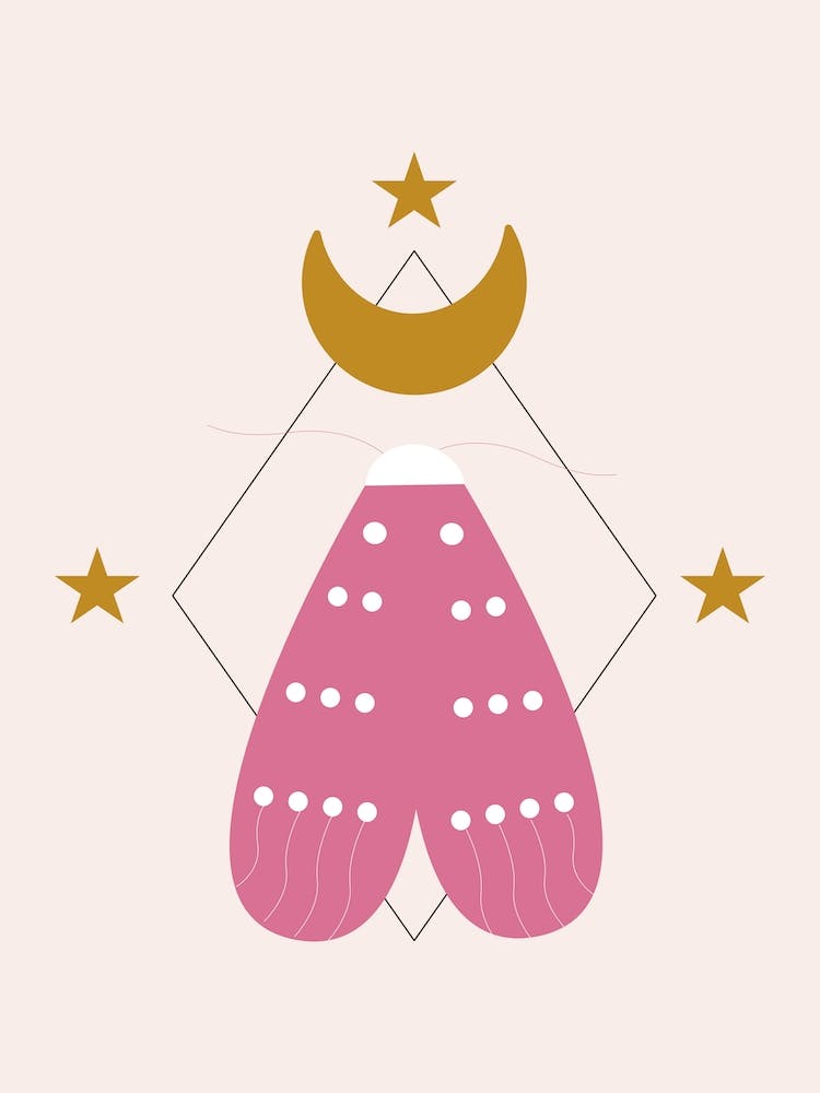 Pink Butterfly And Golden Moon