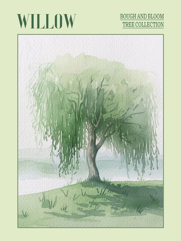 Willow Tree Atmospheric Watercolour Painting 4 Poster