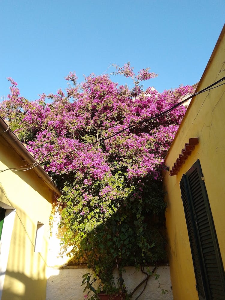 Img 20240603 192411 Hdr