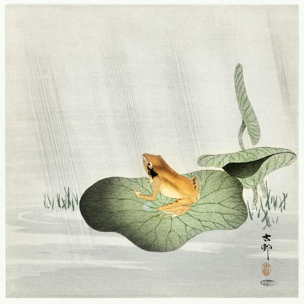 Frog On Lotus Leaf (1900 1930), Ohara Koson