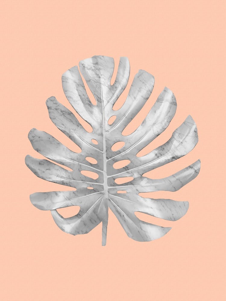 White Marble Monstera on Peach Wall