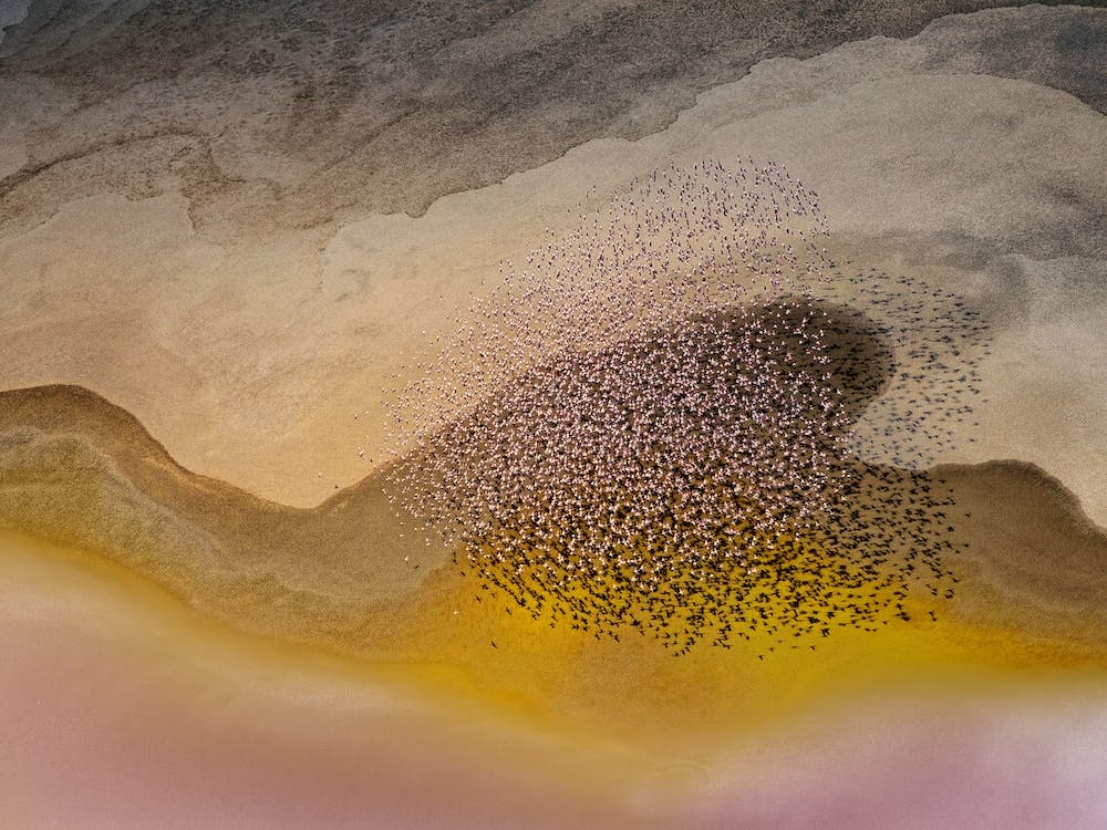 Crossing Natron Lake