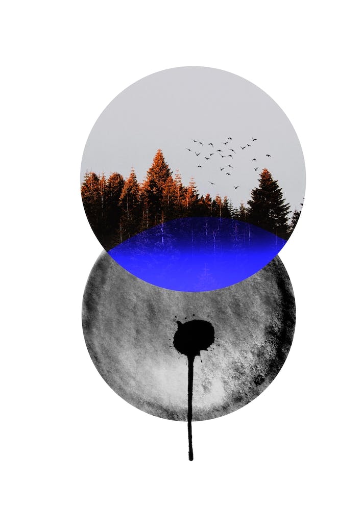 Dream Catcher