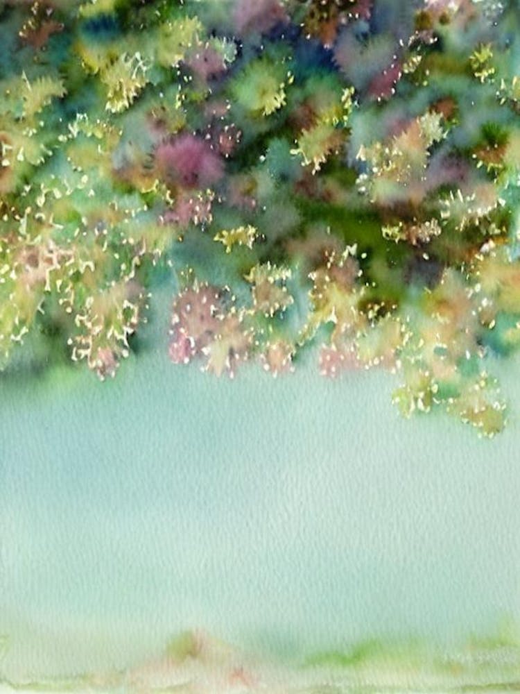 Acropora Verweyi Ii Storybook Watercolour