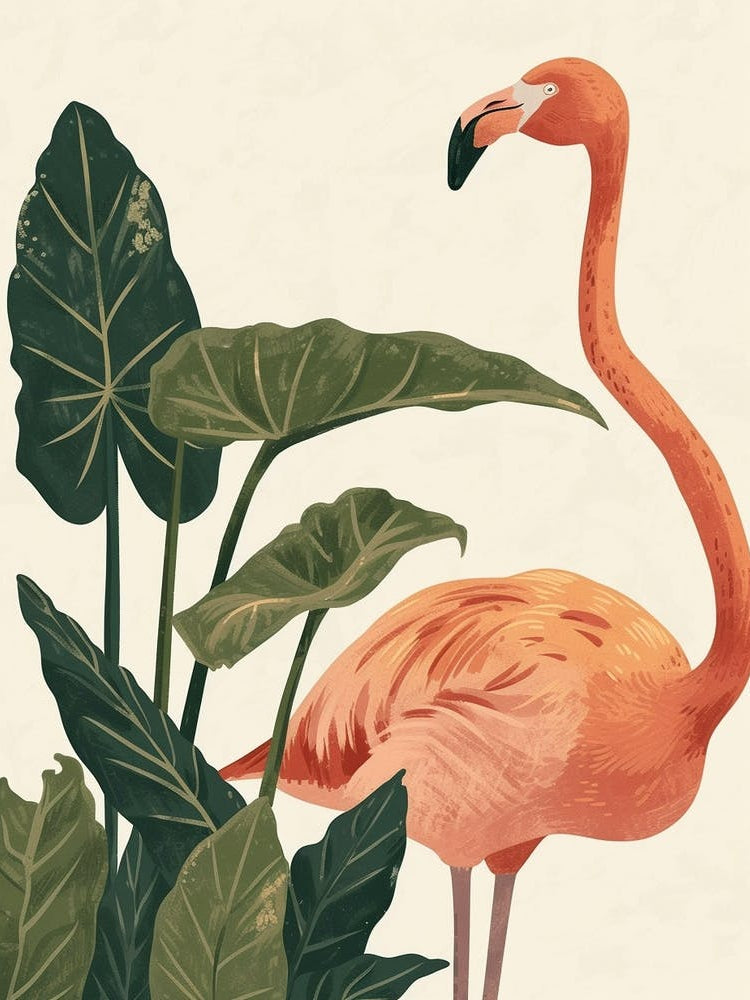 Andean Flamingo And Alocasia Elephant Ear Minimalist Illustration 1