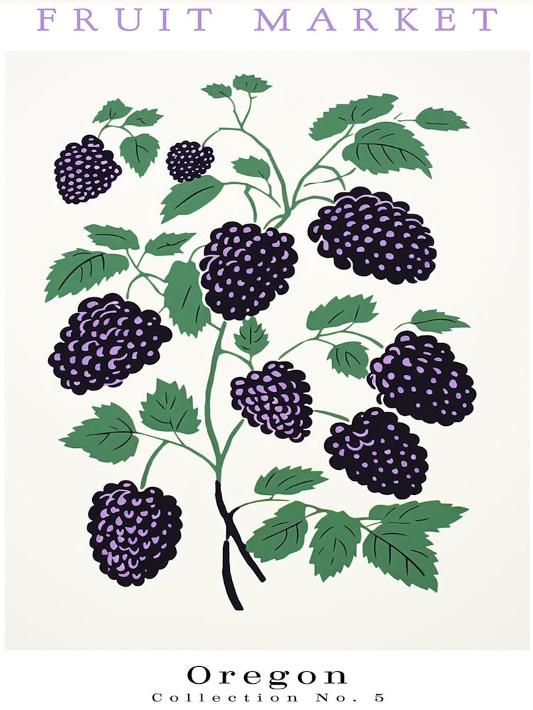 Blackberry Fruit Poster Gift Oregon Market