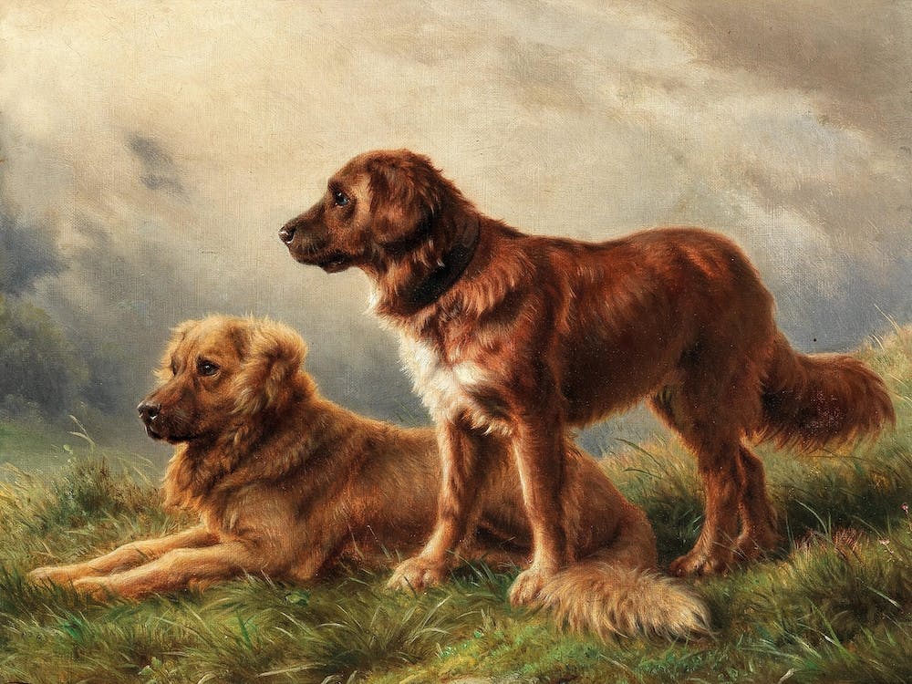 Watchful Dogs, Johannes Christian Deiker