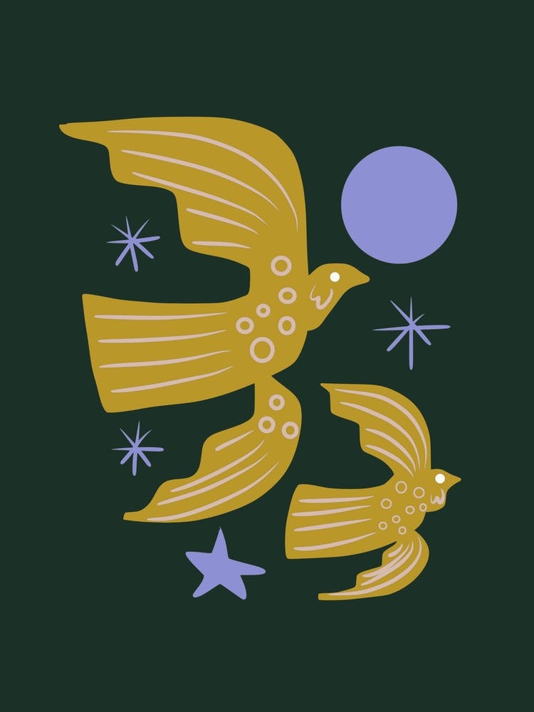 Nocturnal Dove