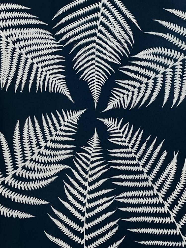 Blue Fern Leaves cyanotype