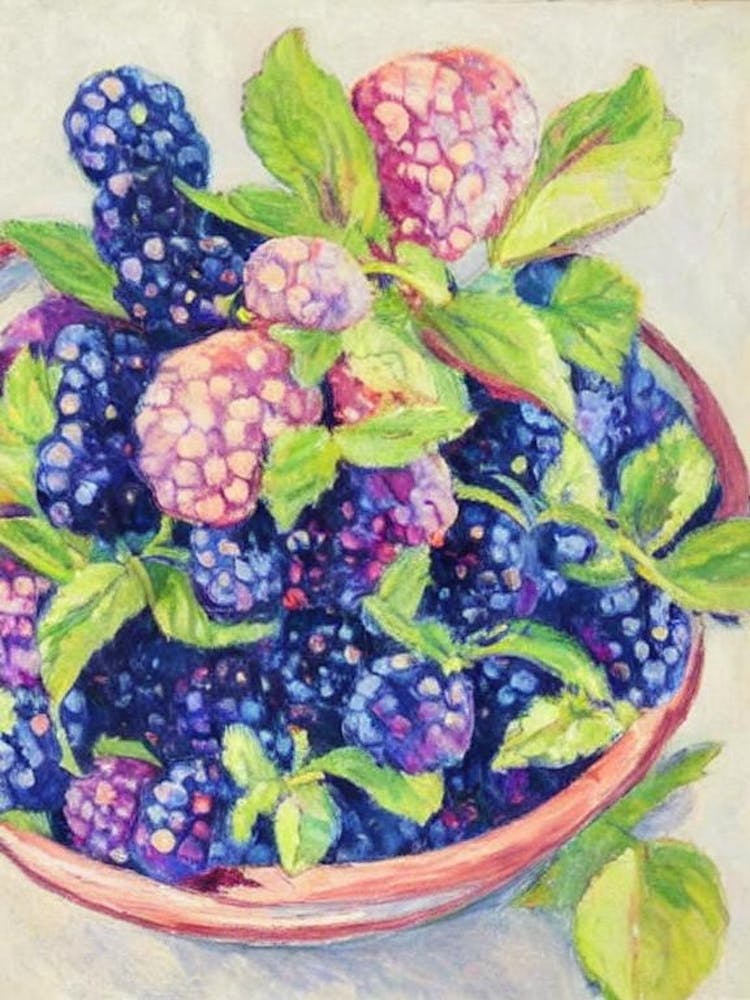Marionberry 1 Vintage Sketch Fruit