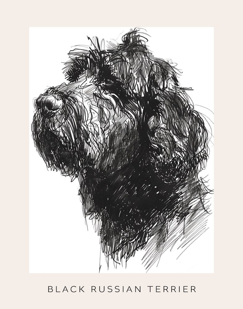Black Russian Terrier Dog Line Sketch 1 Poster