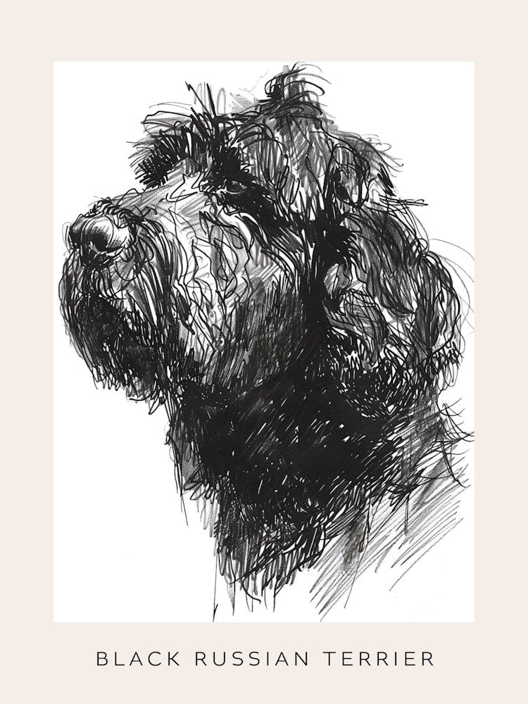 Black Russian Terrier Dog Line Sketch 1 Poster