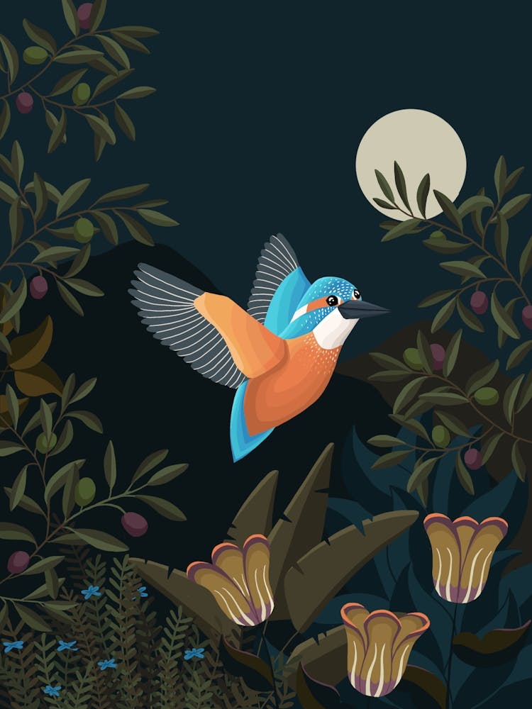 Kingfisher Bird At Night