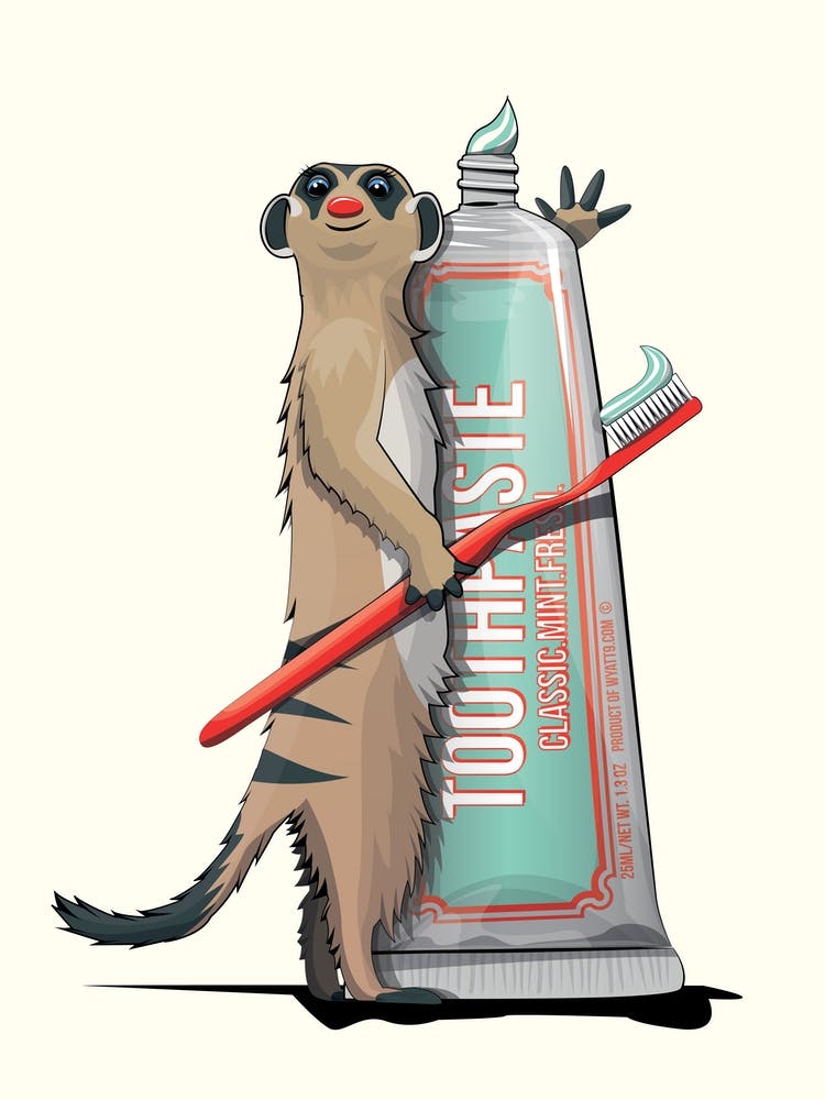 Meerkat Brushing Teeth