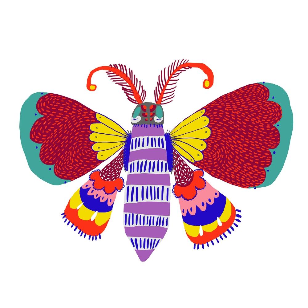 Butterfly Blue 2